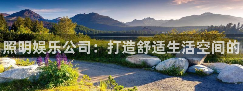 辉达平台平台最新版本下载：照明娱乐公司：打造舒适生活空间的