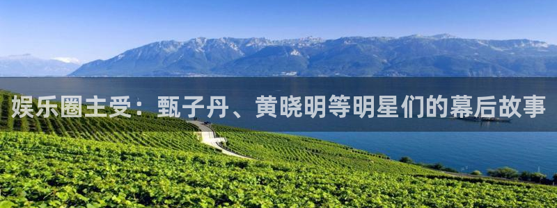 辉达平台娱乐：娱乐圈主受：甄子丹、黄晓明等明星们的幕后故事