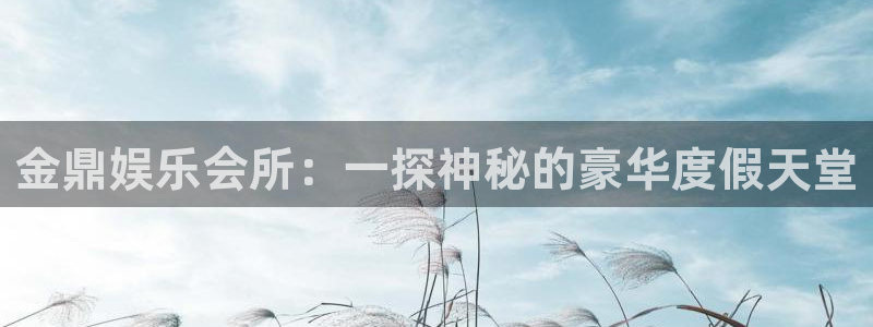 辉达平台现在优惠多少：金鼎娱乐会所：一探神秘的豪华度假天堂