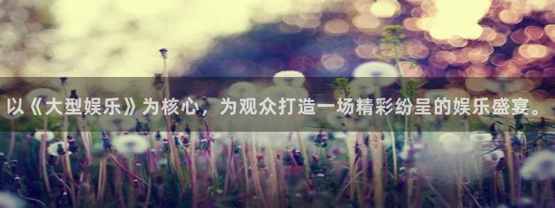 辉达平台游戏官网版：以《大型娱乐》为核心，为观众打造一场精彩纷呈的娱乐盛宴。