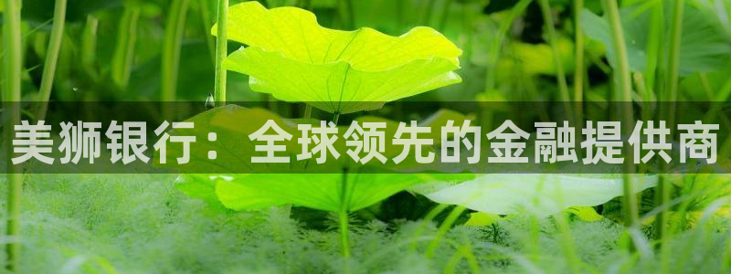 辉达平台加拿大app预测：美狮银行：全球领先的金融提供商