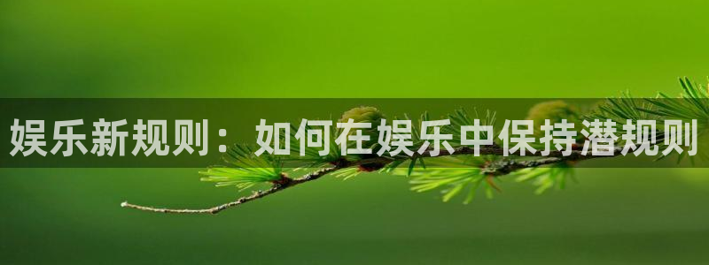辉达平台平台官网：娱乐新规则：如何在娱乐中保持潜规则