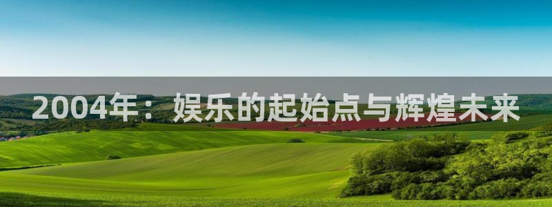 辉达平台招商：2004年：娱乐的起始点与辉煌未来