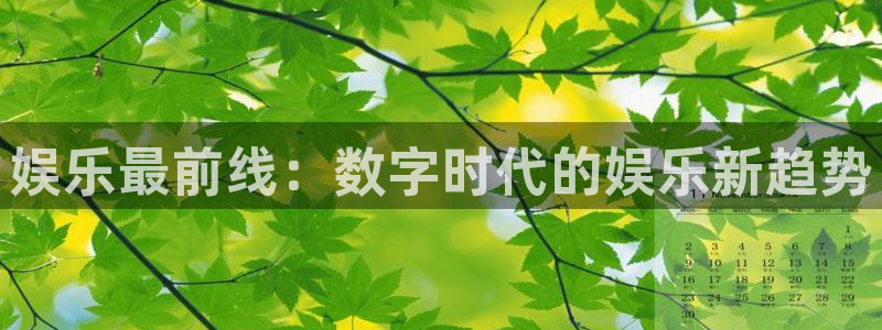 辉达平台体育官网注册：娱乐最前线：数字时代的娱乐新趋势