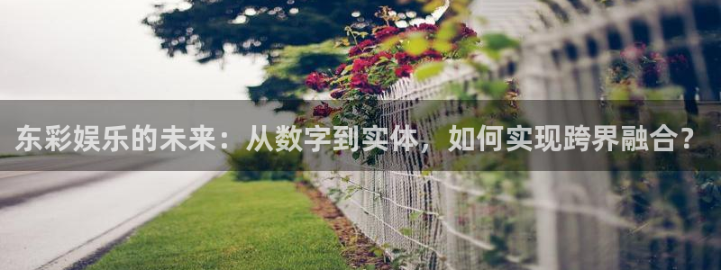 辉达平台平台在线注册：东彩娱乐的未来：从数字到实体，如何实现跨界融合？