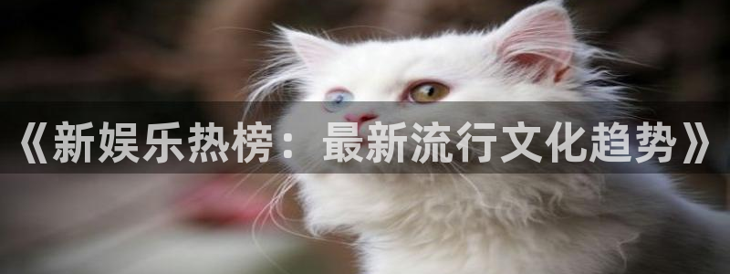 辉达平台苹果手机下载链接：《新娱乐热榜：最新流行文化趋势》