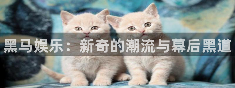 辉达平台官网：黑马娱乐：新奇的潮流与幕后黑道