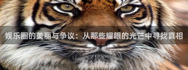 辉达平台平台官网入口：娱乐圈的美丽与争议：从那些耀眼的光芒中寻找真相