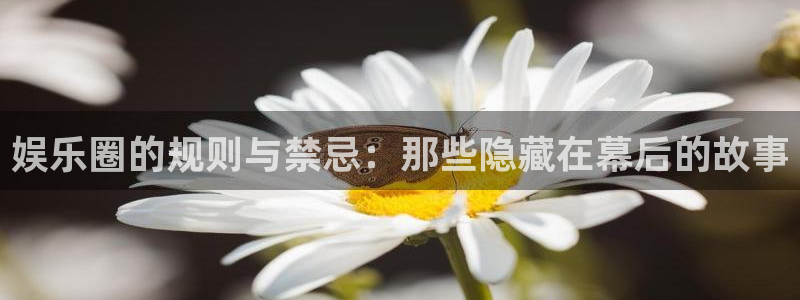 辉达平台是什么平台：娱乐圈的规则与禁忌：那些隐藏在幕后的故事