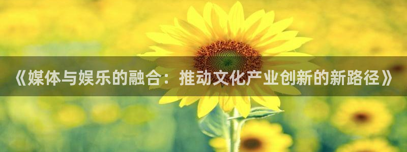 辉达平台股份：《媒体与娱乐的融合：推动文化产业创新的新路径》