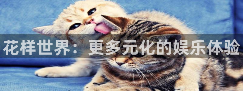 辉达平台体育代理申请流程：花样世界：更多元化的娱乐体验