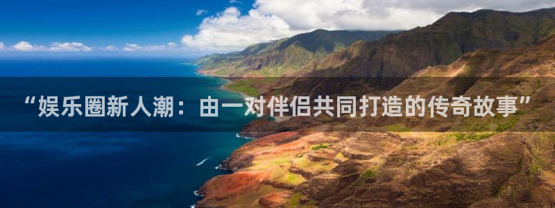 辉达平台登录：“娱乐圈新人潮：由一对伴侣共同打造的传奇故事”