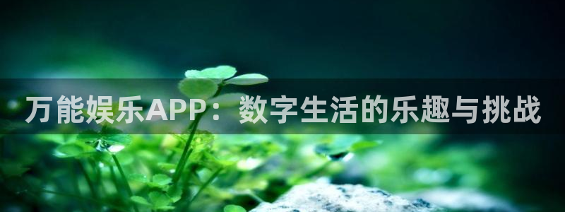 辉达平台登录网：万能娱乐APP：数字生活的乐趣与挑战