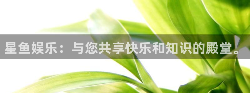 辉达平台预测pc在线预测网址：星鱼娱乐：与您共享快乐和知识的殿堂。