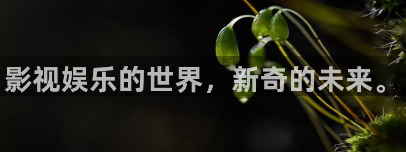 辉达平台.ccmpc正版：影视娱乐的世界，新奇的未来。