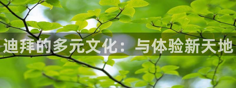 辉达平台体育注册代理：迪拜的多元文化：与体验新天地