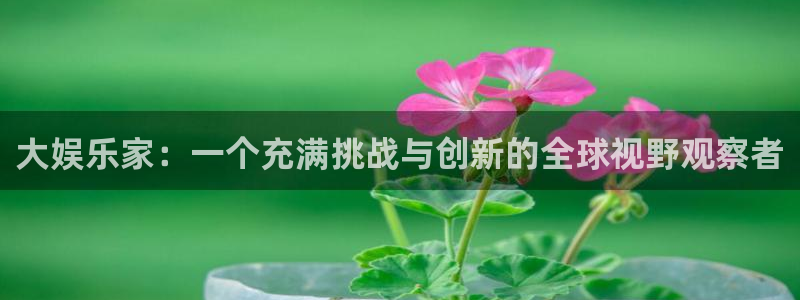 辉达平台体育老板是谁：大娱乐家：一个充满挑战与创新的全球视野观察者
