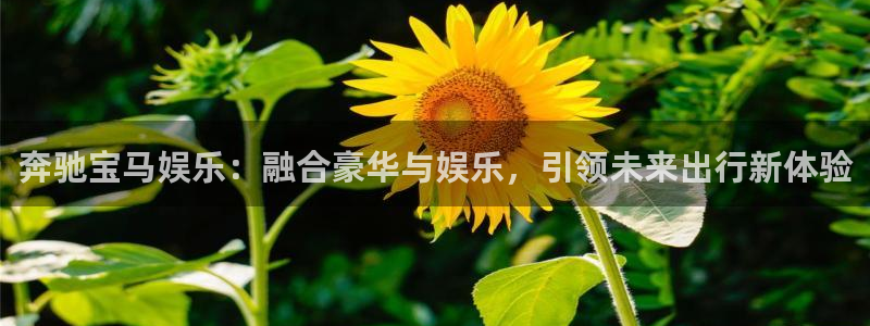 辉达平台体育平台注册：奔驰宝马娱乐：融合豪华与娱乐，引领未来出行新体验