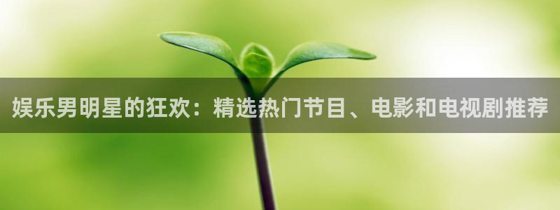 辉达平台2平台注册：娱乐男明星的狂欢：精选热门节目、电影和电视剧推荐