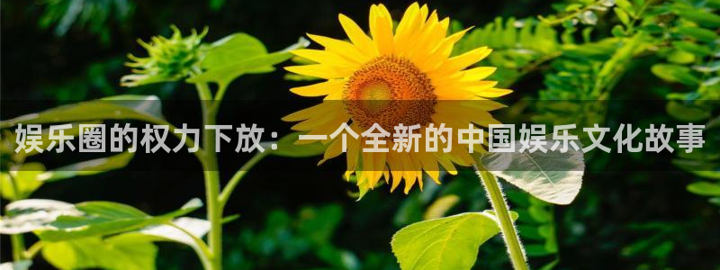 辉达平台平台官方入口：娱乐圈的权力下放：一个全新的中国娱乐文化故事