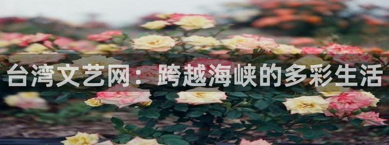 辉达平台下载并安装：台湾文艺网：跨越海峡的多彩生活