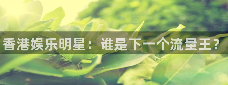 辉达平台体育4：香港娱乐明星：谁是下一个流量王？