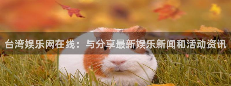 辉达平台4平台注册：台湾娱乐网在线：与分享最新娱乐新闻和活动资讯